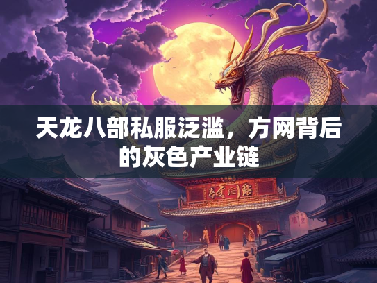 天龙八部私服泛滥，方网背后的灰色产业链