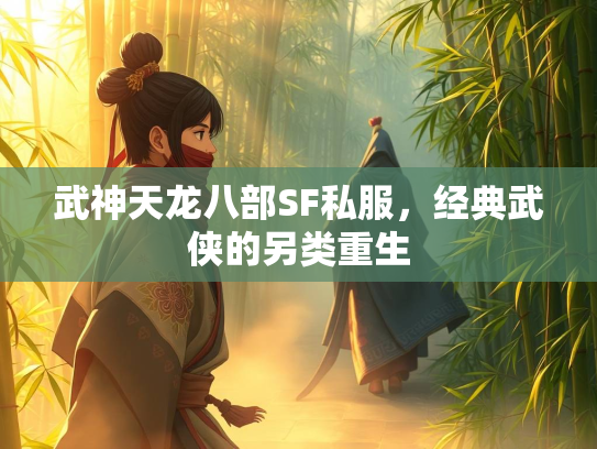 武神天龙八部SF私服，经典武侠的另类重生