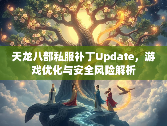 天龙八部私服补丁Update，游戏优化与安全风险解析