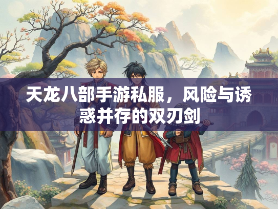 天龙八部手游私服，风险与诱惑并存的双刃剑