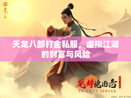 天龙八部打金私服，虚拟江湖的财富与风险  第2张