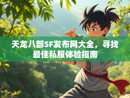 天龙八部SF发布网大全，寻找最佳私服体验指南  第2张