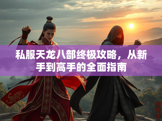 私服天龙八部终极攻略，从新手到高手的全面指南