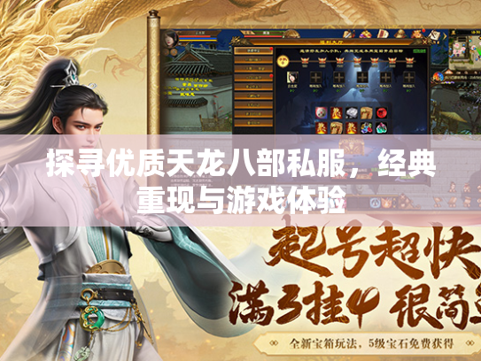 探寻优质天龙八部私服，经典重现与游戏体验