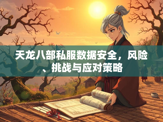 天龙八部私服数据安全，风险、挑战与应对策略