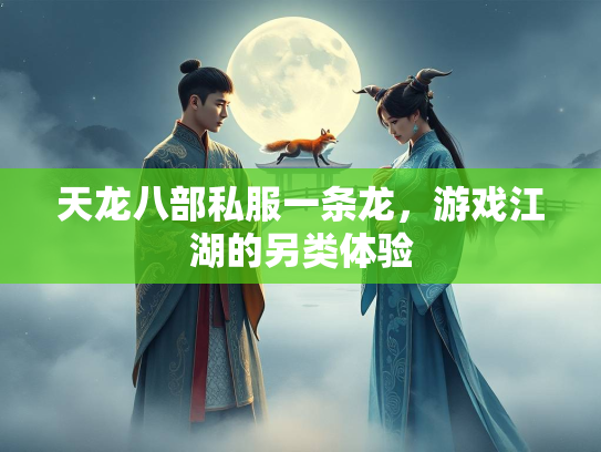 天龙八部私服一条龙，游戏江湖的另类体验  第3张