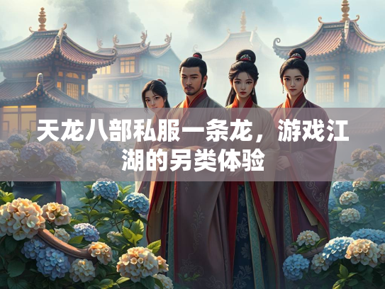 天龙八部私服一条龙，游戏江湖的另类体验