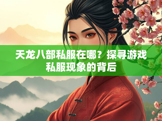 天龙八部私服在哪？探寻游戏私服现象的背后