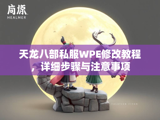 天龙八部私服WPE修改教程，详细步骤与注意事项  第3张
