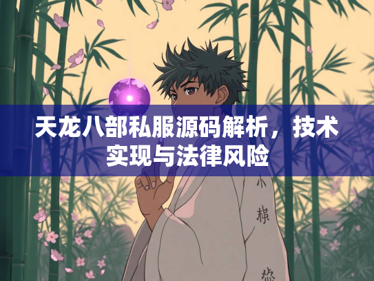 天龙八部私服源码解析，技术实现与法律风险