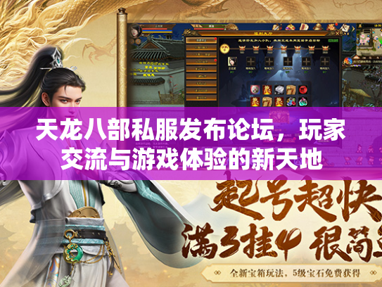 天龙八部私服发布论坛，玩家交流与游戏体验的新天地  第3张