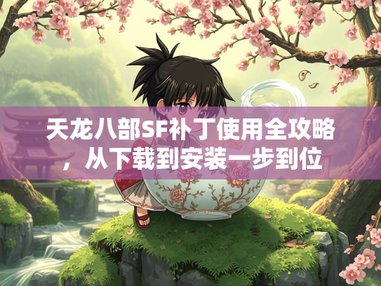 天龙八部SF补丁使用全攻略，从下载到安装一步到位