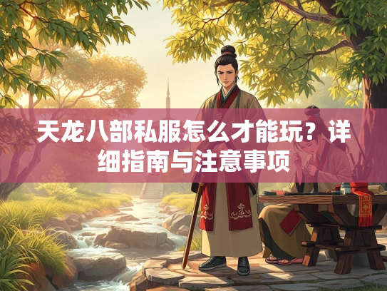 天龙八部私服怎么才能玩？详细指南与注意事项