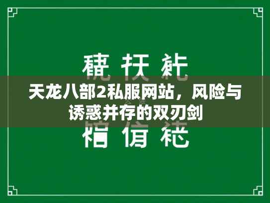天龙八部2私服网站，风险与诱惑并存的双刃剑  第2张