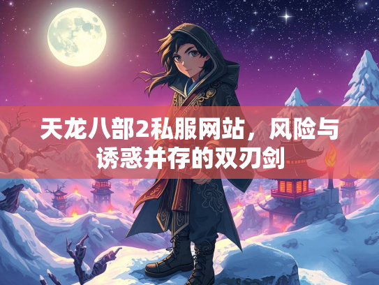 天龙八部2私服网站，风险与诱惑并存的双刃剑  第3张