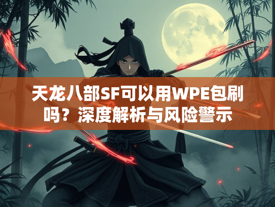 天龙八部SF可以用WPE包刷吗？深度解析与风险警示