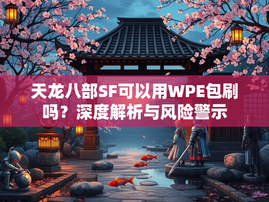 天龙八部SF可以用WPE包刷吗？深度解析与风险警示