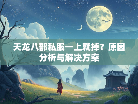 天龙八部私服一上就掉？原因分析与解决方案  第3张