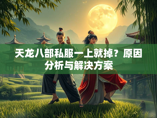 天龙八部私服一上就掉？原因分析与解决方案  第1张
