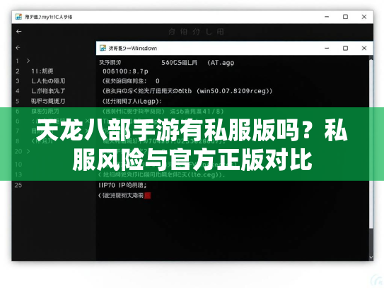 天龙八部手游有私服版吗？私服风险与官方正版对比  第2张