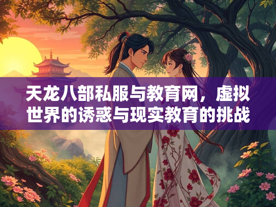 天龙八部私服与教育网，虚拟世界的诱惑与现实教育的挑战