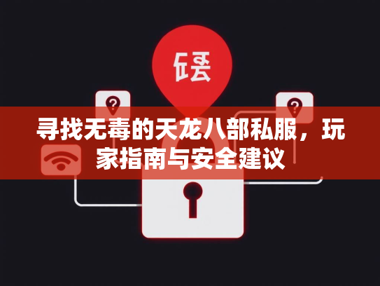 寻找无毒的天龙八部私服，玩家指南与安全建议