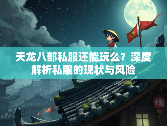 天龙八部私服还能玩么？深度解析私服的现状与风险