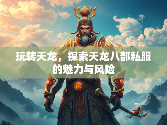 玩转天龙，探索天龙八部私服的魅力与风险