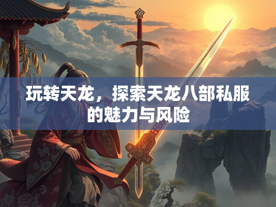 玩转天龙，探索天龙八部私服的魅力与风险