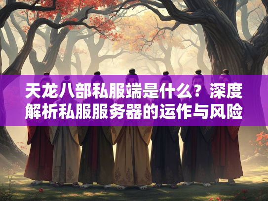 天龙八部私服端是什么？深度解析私服服务器的运作与风险  第2张