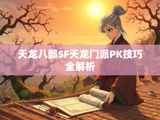 天龙八部SF天龙门派PK技巧全解析
