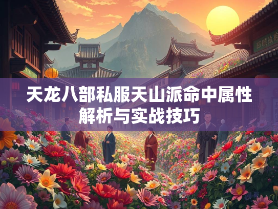 天龙八部私服天山派命中属性解析与实战技巧  第2张