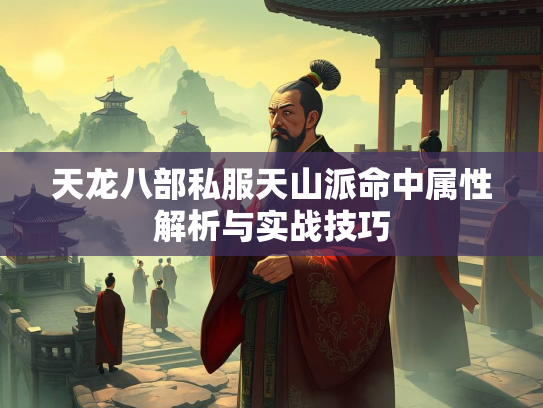 天龙八部私服天山派命中属性解析与实战技巧