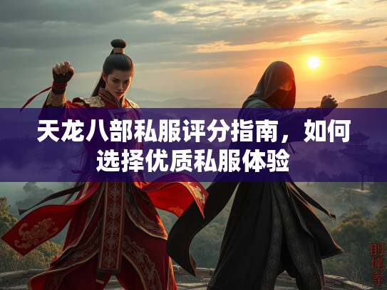 天龙八部私服评分指南，如何选择优质私服体验