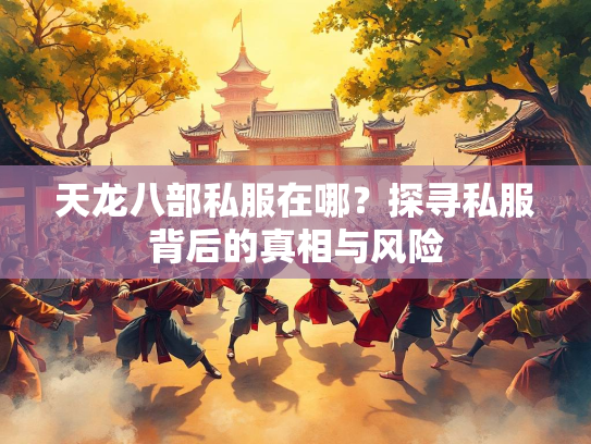天龙八部私服在哪？探寻私服背后的真相与风险