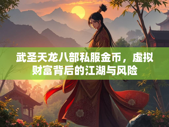 武圣天龙八部私服金币，虚拟财富背后的江湖与风险