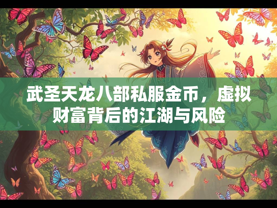武圣天龙八部私服金币，虚拟财富背后的江湖与风险
