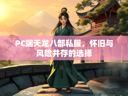 PC端天龙八部私服，怀旧与风险并存的选择  第2张