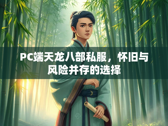PC端天龙八部私服，怀旧与风险并存的怀旧选择  第1张