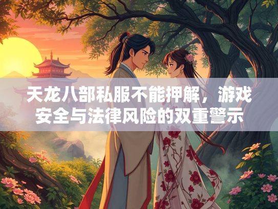 天龙八部私服不能押解，游戏安全与法律风险的双重警示