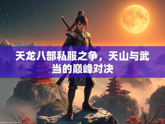 天龙八部私服之争，天山与武当的巅峰对决