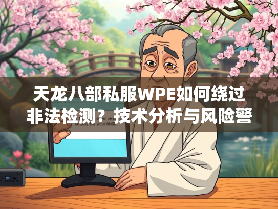 天龙八部私服WPE如何绕过非法检测？技术分析与风险警示