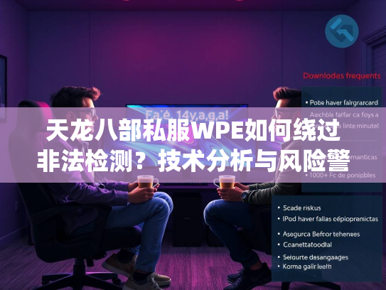 天龙八部私服WPE如何绕过非法检测？技术分析与风险警示