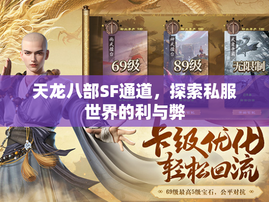 天龙八部SF通道，探索私服世界的利与弊  第2张