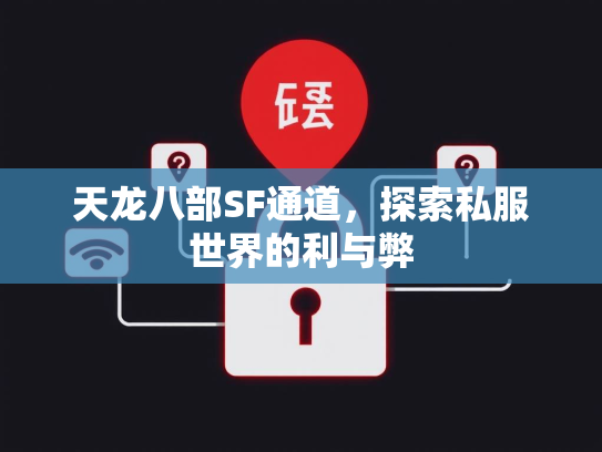 天龙八部SF通道，探索私服世界的利与弊