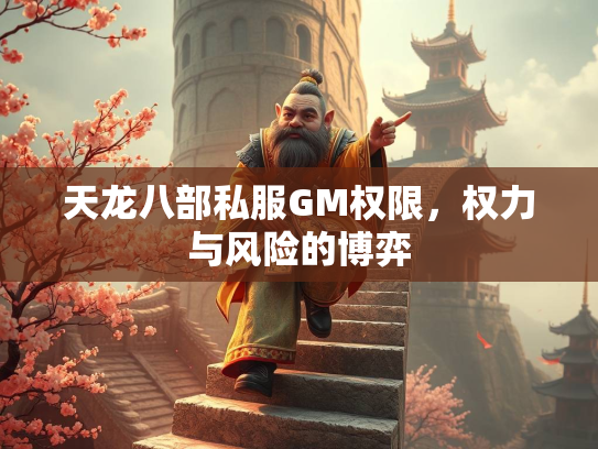 天龙八部私服GM权限，权力与风险的博弈