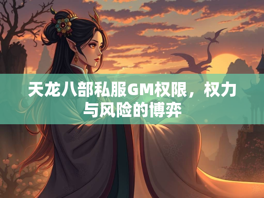 天龙八部私服GM权限，权力与风险的博弈