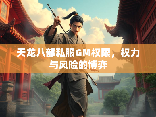 天龙八部私服GM权限，权力与风险的博弈