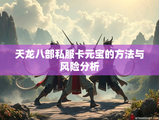 天龙八部私服卡元宝的方法与风险分析  第3张
