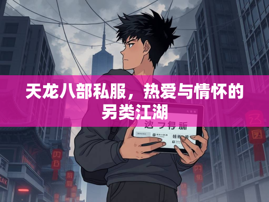 天龙八部私服，热爱与情怀的另类江湖